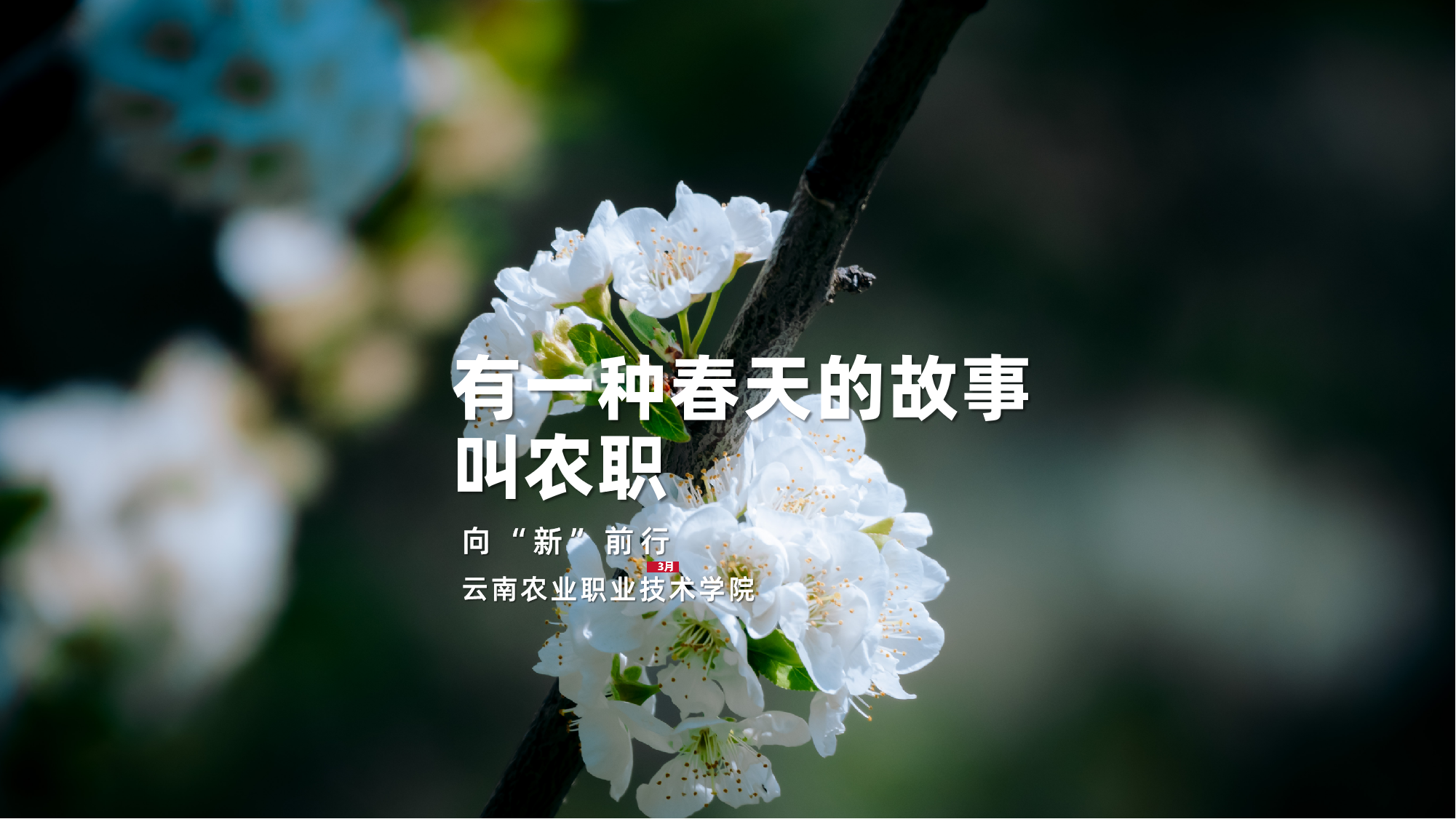 有一种春天的故事 叫农职