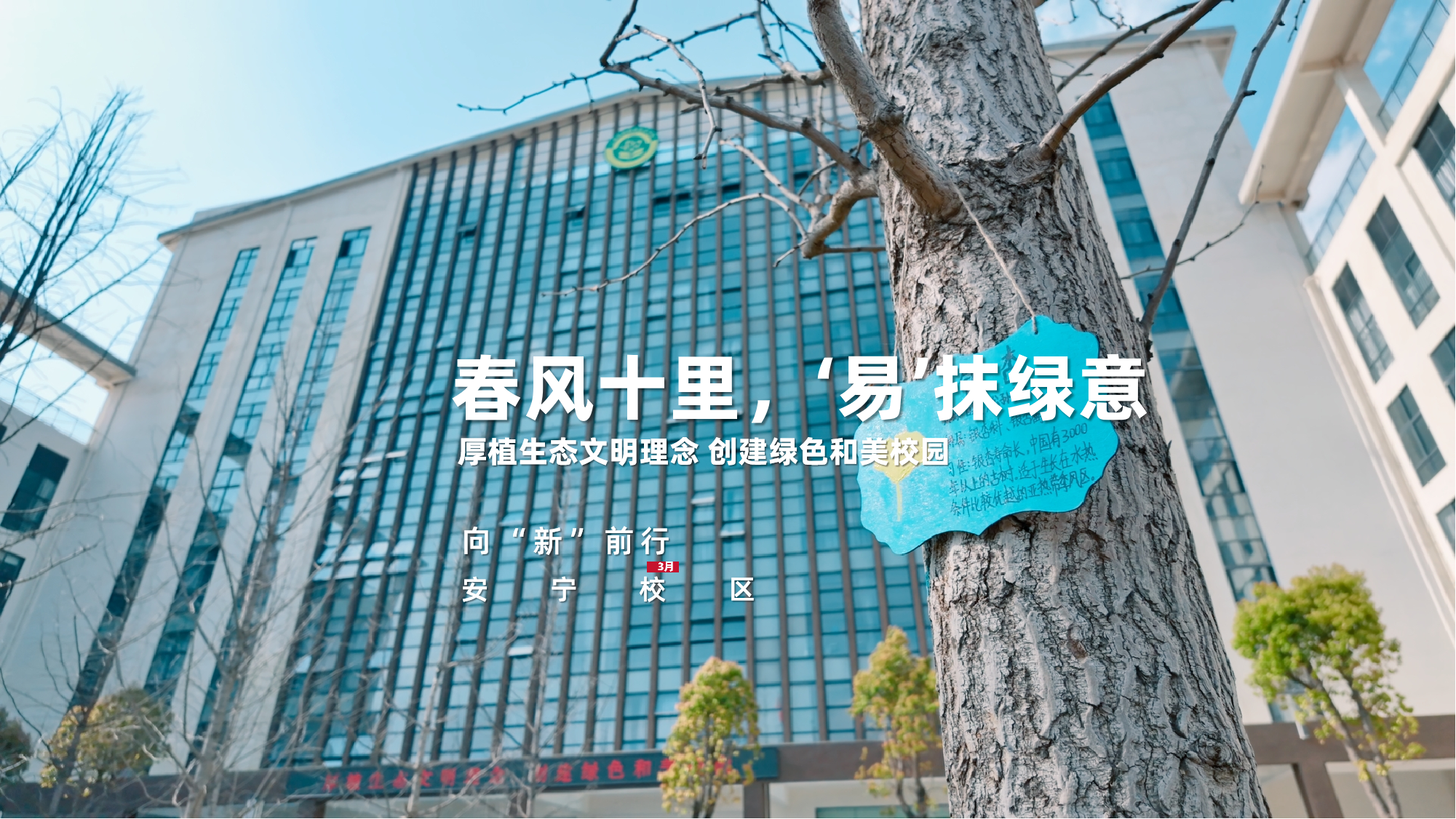 春风十里 “易”抹春意
