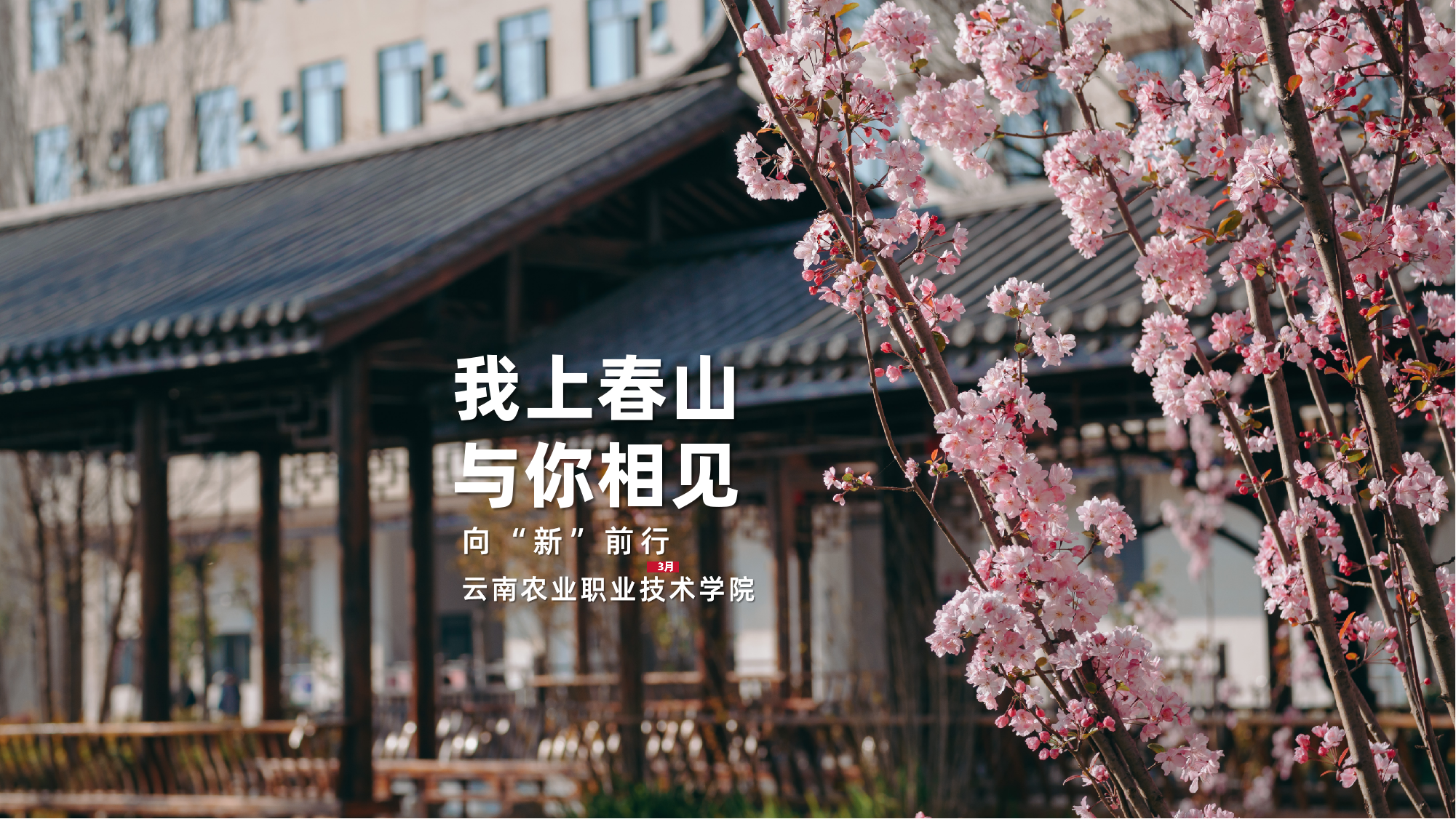 我上春山 与你相见