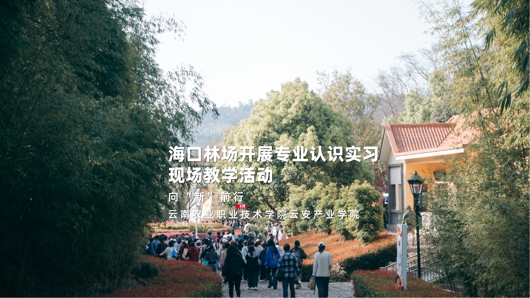 赴海口林场开展专业认知实习教学活动