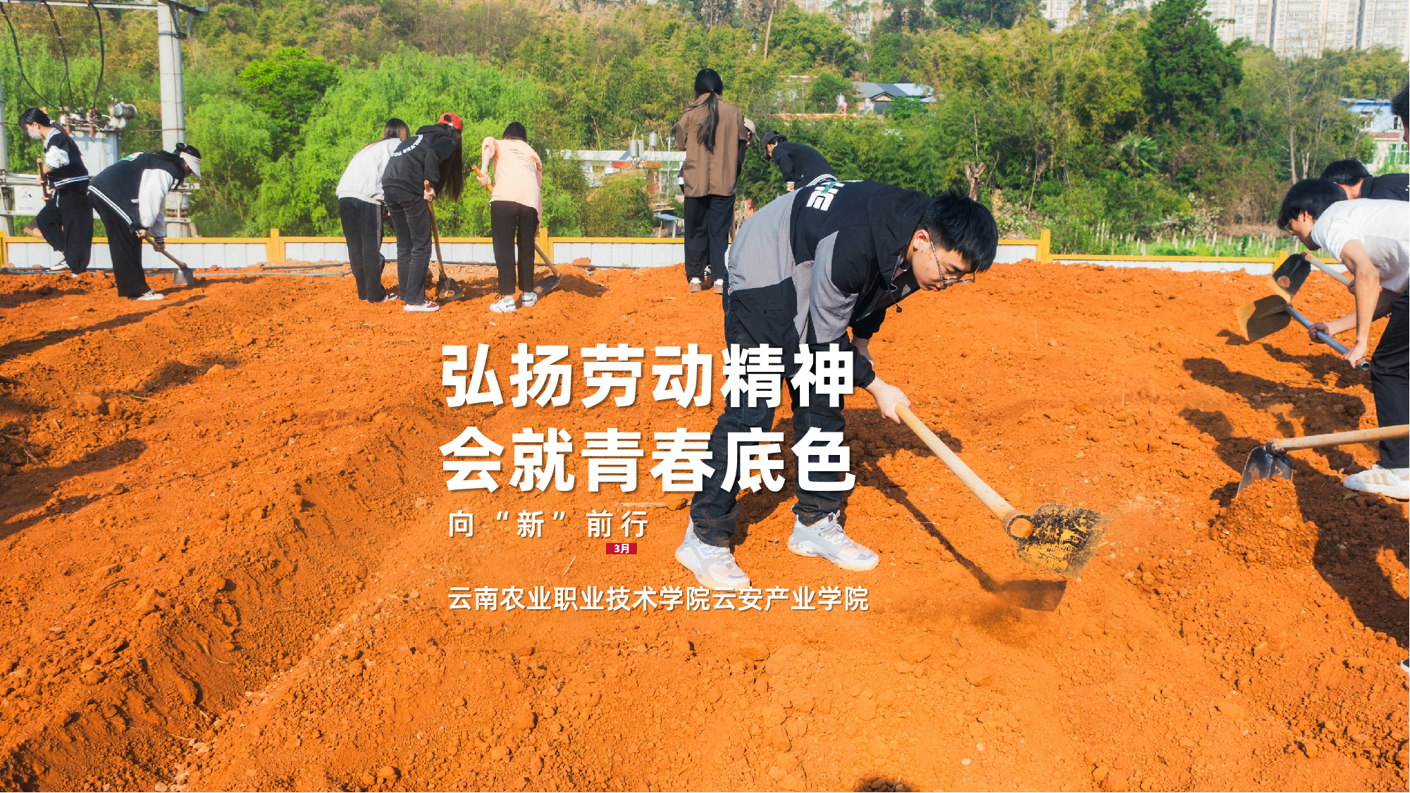 弘扬劳动精神 绘就青春底色