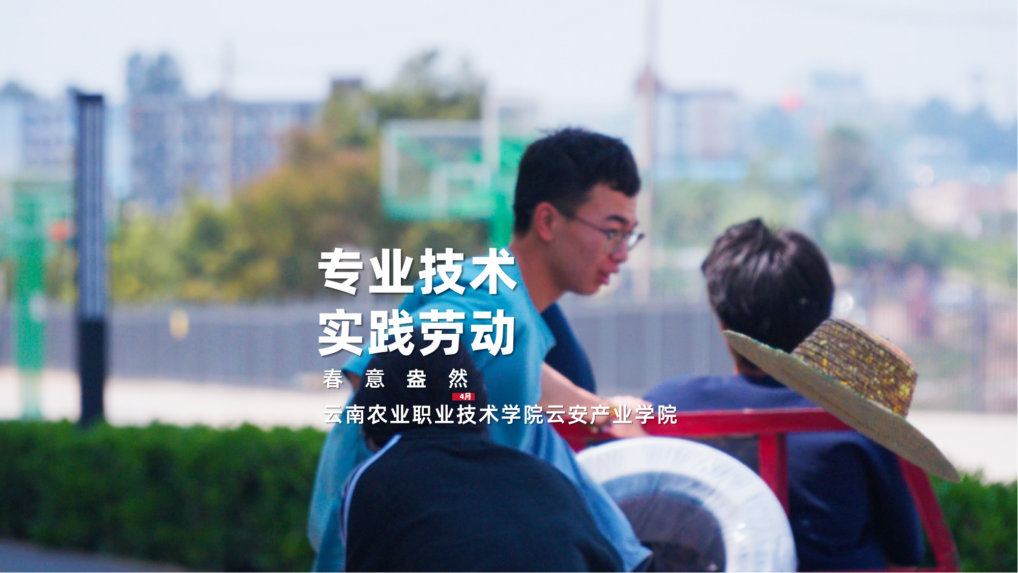 又是拔草的一天呢，专业技术实践劳动
