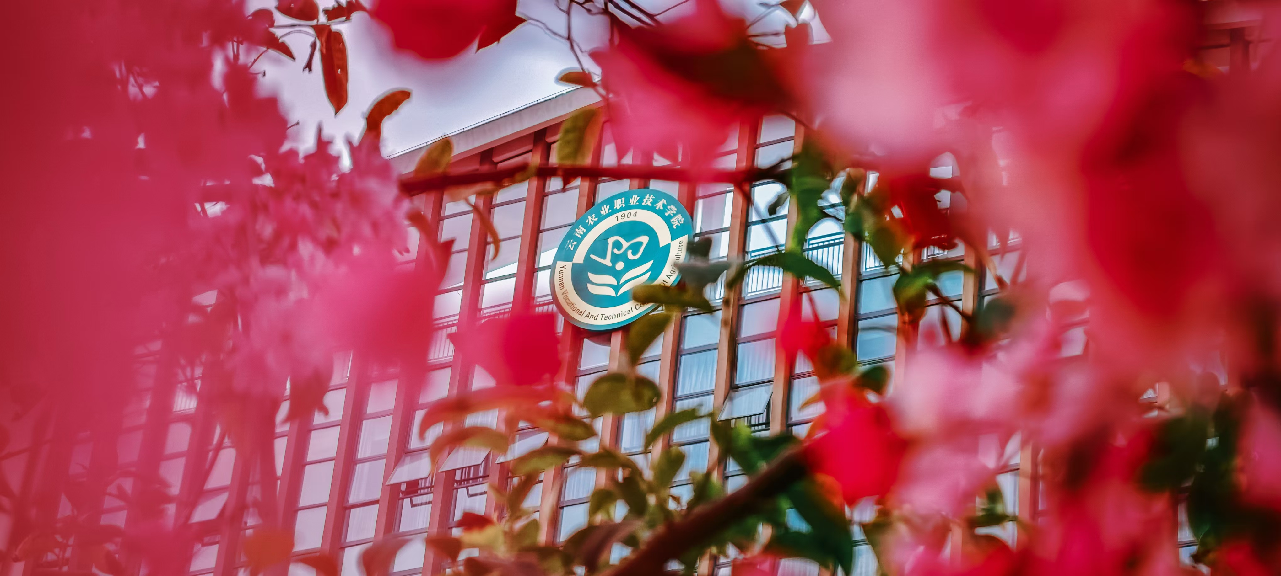 云南农业职业技术学院云安产业学院举办“看见‘她’贡献·致敬‘她’光芒”妇女节特别活动——为全体女性朋友们献上节日鲜花与祝福