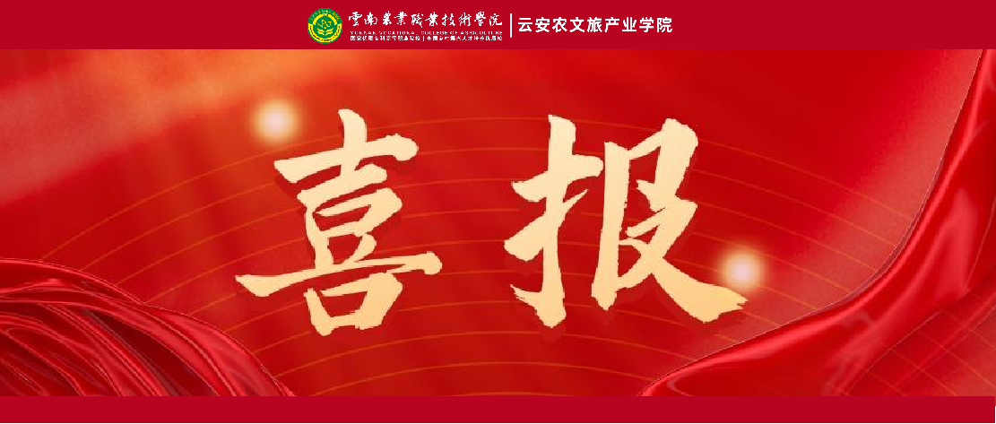 喜报｜云南农业职业技术学院云安农文旅产业学院教师斩获第八届“中华设计奖”职教赛道一等奖