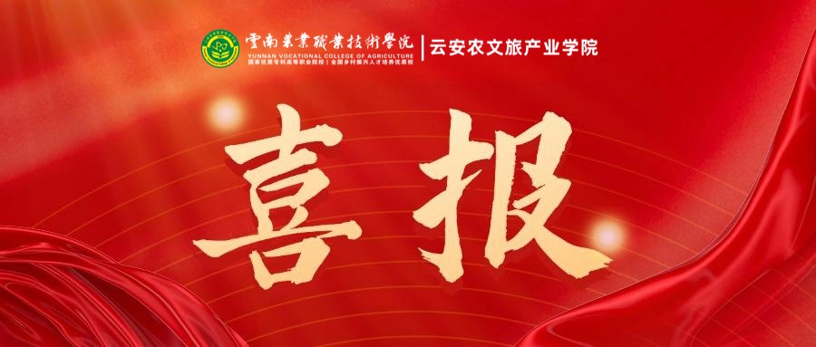 喜报 | 学院师生在2025“学院杯”中国室内与环境设计大赛中荣获佳绩