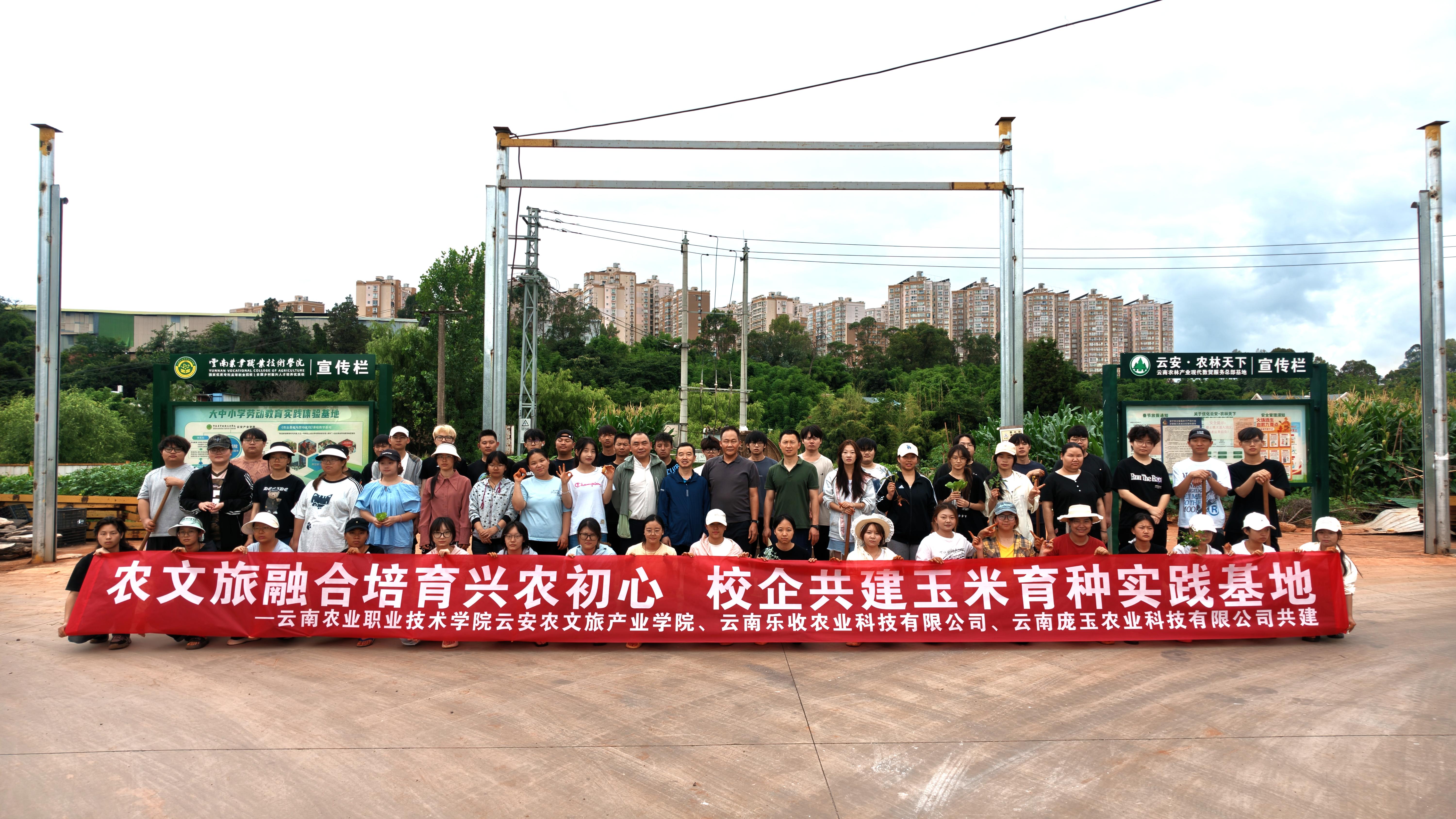 产教融合育新农劳动淬炼铸匠心｜云南农业职业技术学院云安农文旅产业学院校企共建玉米育种实践基地